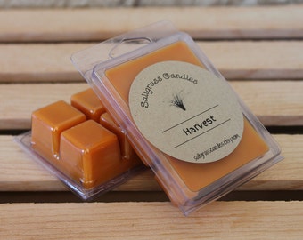 Harvest Wax Melts - Soy Blend Wax - Wax Cubes - Wax Tarts - Hand Poured - Gift Idea