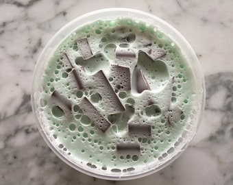 Mint Chocolate Chip Ice Cream