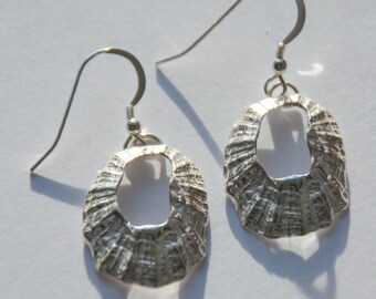 Medium Marazion Silver Limpet Drop Earrings