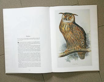 Vintage Illustrated Bird Book | Vintage Bird Illustrations | Zoology Illustrations