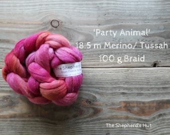 Merino / Tussah Silk hand dyed braid 'Party Animal' 100 g 3.5 oz