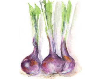 Watercolor Onions, Purple Onions Print, Vegetable Print, Onions Print, Kitchen Art