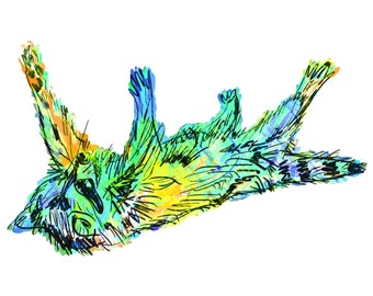Raccoon(3B) Giclée Print - Cavanata - 8" X 10" Raccoon Graphic Fine Art Print, Original Illustration, Animal Art