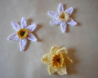 Daffodil flowers and daffodils