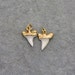 1 SMALL Mako Shark Tooth - 24k Gold Plated Cap -Small REAL Sharktooth Terrarium Supplies Pendant Charm Jewelry Supplies (AN021)