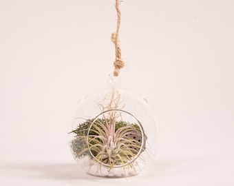 DIY TERRARIUM