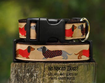 Dachshund Tan ribbon dog collars Medium to X-Large