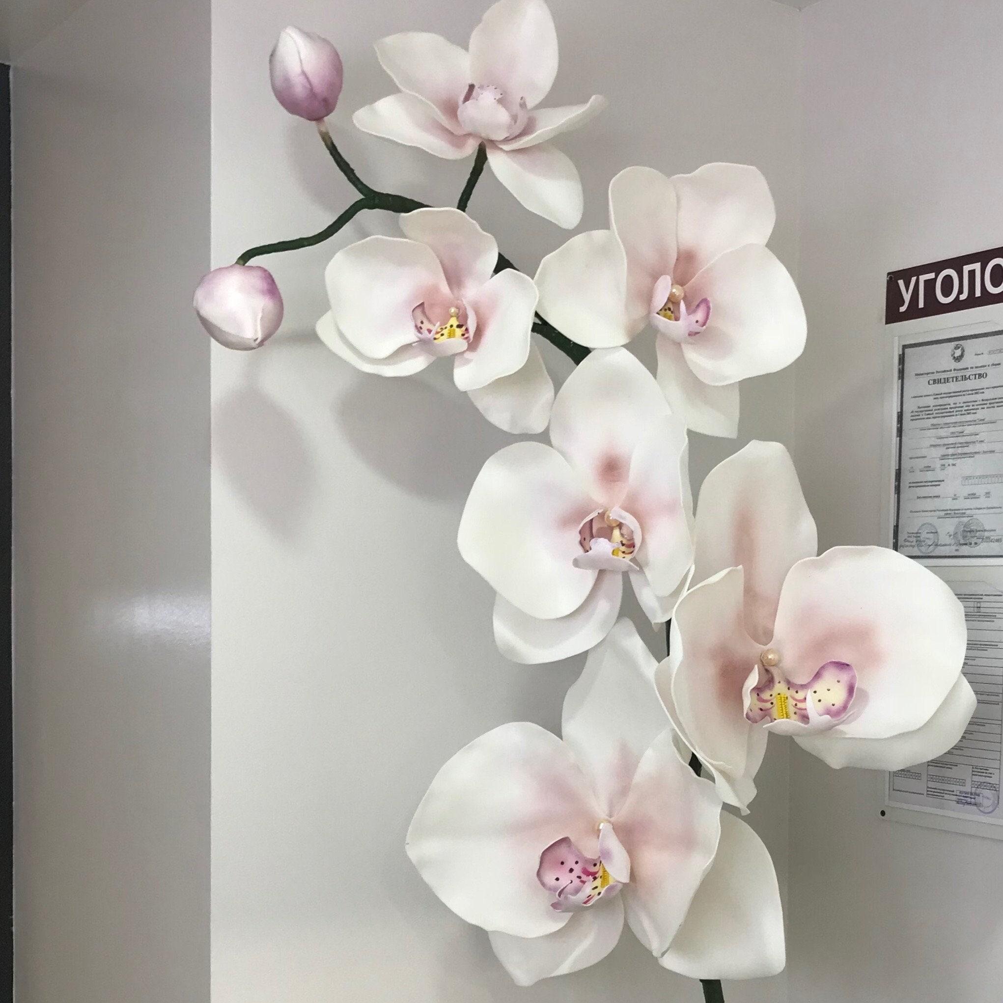 орхидея из изолона. орхидея из изолона. орхидеи с изолона. орхидея из изолона светильник. орхидеи с изолона.