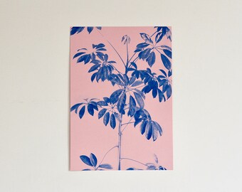 A3 Plant Risograph Print
