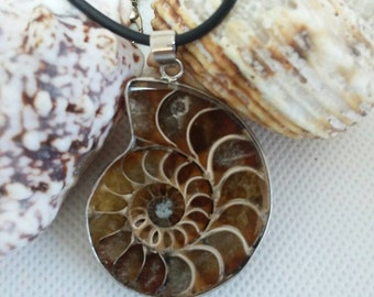 Ammonite necklace, Fossil jewelry, Nautilus shell necklace, ammonite shell fossil pendant, Nautilus jewelry, choose your fossil
