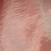 Organza Fabric- Crinkle Organza Pink