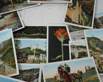 Haynes Yellowstone National Park Colored Post Cards