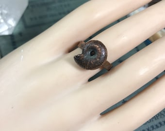 Electroform Ammonite Fossil Shell Copper Ring | Plus Size Statement Ring | Sz 9 1/2 | Boho Mermaid STORE CLOSING SALE