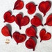 24pc RED VELVET HEART Pods Floral Design Wreath Making Basket Weaving Gourd Supply
