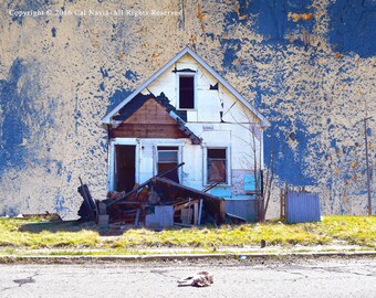 Street Cat , Photo Montage, Wall Art, Fine Art Print, Abandoned House, Urban Decay, Street Photography, Detroit