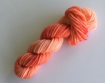 Coral Reef, Hand Dyed Sock Yarn Mini Skein