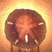 Sand Dollar Night Light Nautical Decor Coastal Seashells Gift Beach House