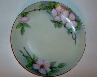 Hand Painted Wild Rose Plate