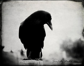 The Raven : crow raven photography black bird goth gothic dark dream surreal poe poem rustic vintage halloween 8x10 11x14 16x20 20x24 24x30