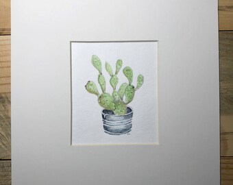 Summer Cactus in a Pail