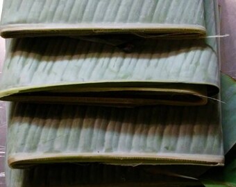 3 Fresh Banana Leaves. Organically Grown Banana Leaves