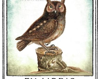 The Littlest Owl Bookplates (Personalized or Blank)