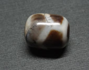 1804-28 - Authentic Tibetan Dzi Bead - Turtle-Back Dzi Bead