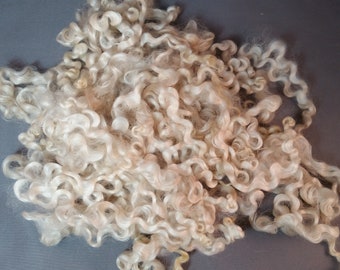 Locks / Fleece - Teeswater x Gotland x BFL 1 oz.