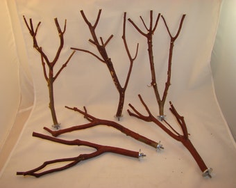 Manzanita Bird Perches Multibranch Set of 6 with Hardware 13" to 15" long 5/8" to 1/8" diameter