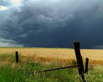 Spring Storm Just Smell The Rain