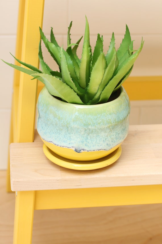coastal succulent planter // cactus planter // succulent pot // ceramic pot // flower pot