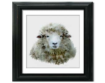Sheep Fine Art Print, Farm Yard Art, Farm Animal, 8x8 12x12 Country Home Decor