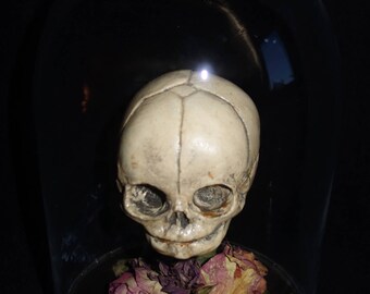 Gothic fetal skull in glass dome Glass dome extra. sale price LOOK FREE SHIPPING