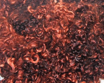 Cotswold Sheep Curls, Locks for Spinning, Felting and Wool Doll Hair Hand Dyed in Shades of Chestnut 1 oz.