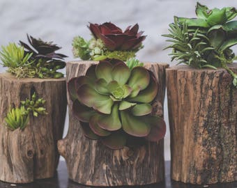 Artificial Succulent in Fence Posts