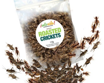 Edible Insects | Whole Roasted Crickets
