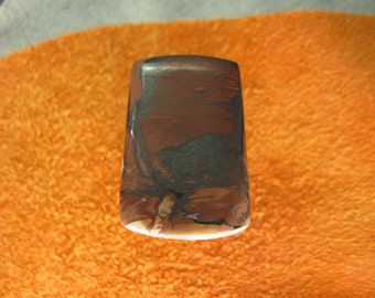 Indian Paint jasper freeform cabochon