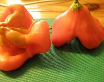 Bishops Crown Heirloom Pepper Seeds, Organically Grown and Open Pollinated