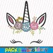 Unicorn face applique embroidery design sewing brother emb hus jef pes dst with resizer-converter software included