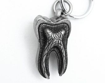 Human Tooth Keychain - Tooth Anatomy Keychain, Dentist, Dental, Teeth, Molar, Anatomical Gift