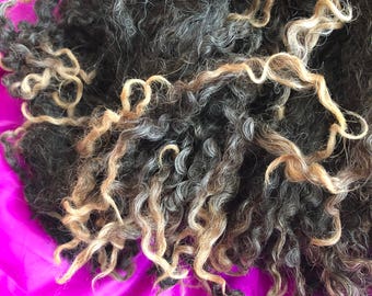 Raw black Wensleydale fleece