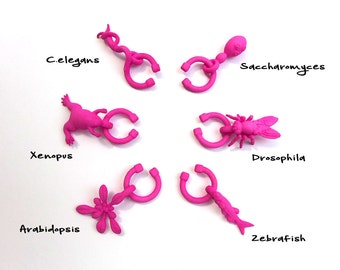 Model Organism Wine Charms - Science Wine Charms - Science Themed Party - Science Barware - Gift for Technician - Geek Gift - Biology Gift