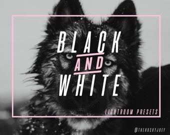 Adventure Pack Black & White Presets