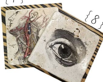 Vintage Anatomy Ribcage Coasters, 4 Piece Set, Tumbled Marble (OR MIX & MATCH)