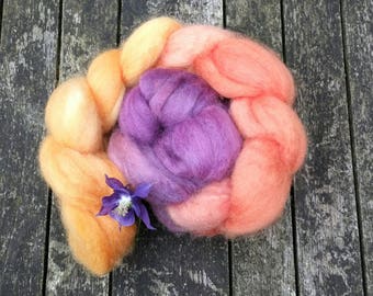 Hand dyed spinning fibre, Bluefaced Leicester, 115g, BFL combed tops, gradient dyed spinning fibre