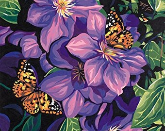Clematis & Butterflies Paint By Number Dimensions Needlecrafts Paintworks