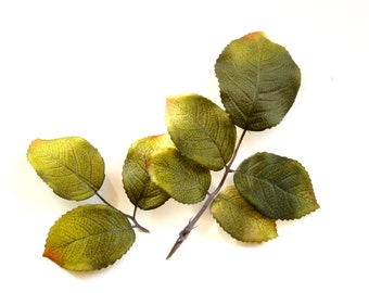 55 Rose Leaves - Recycled Floral