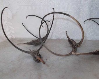 Craft Material Devils Claw Seed Pods 22 unicorn plant devils horn seeds dried pods