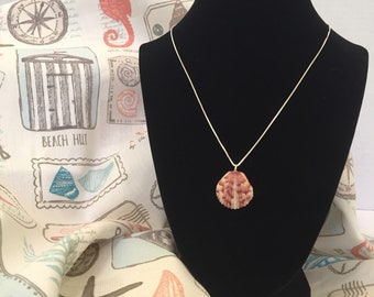 Calico Scallop Natural Seashell Necklace