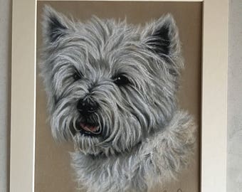 West Highland White Terrier Original Pastel Painting